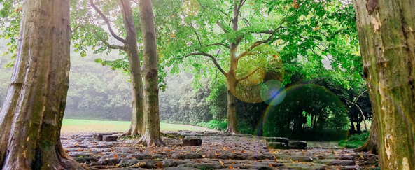 云顶集团3118登录入口