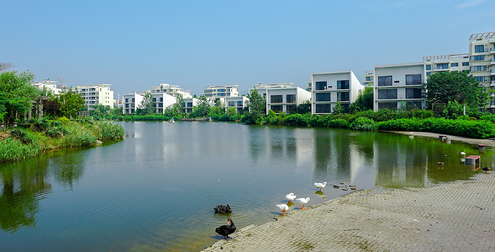 云顶集团3118登录入口