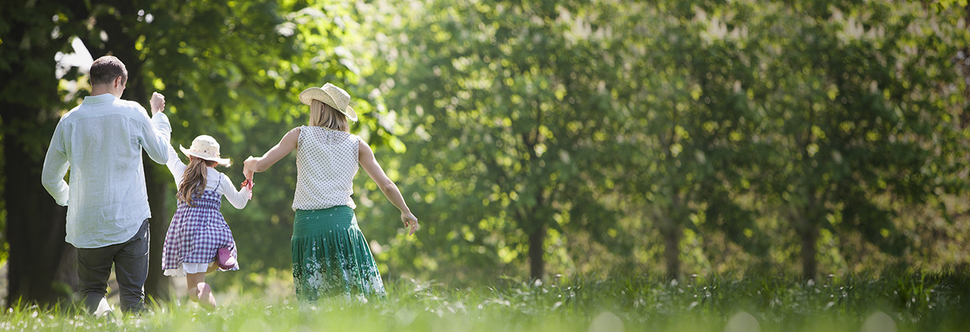 云顶集团3118登录入口