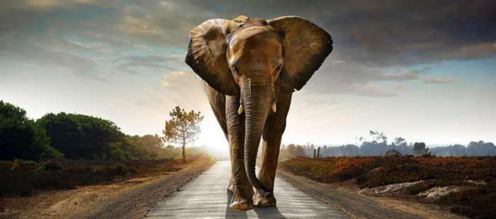 云顶集团3118登录入口